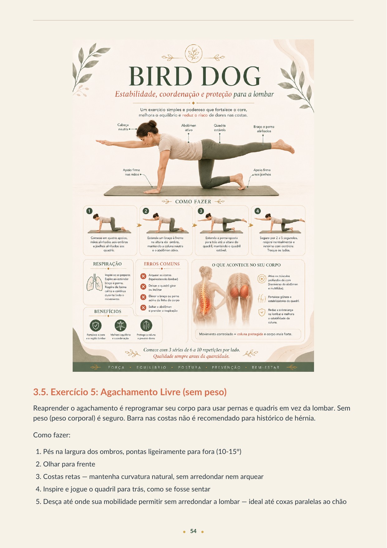 Exercício Bird Dog